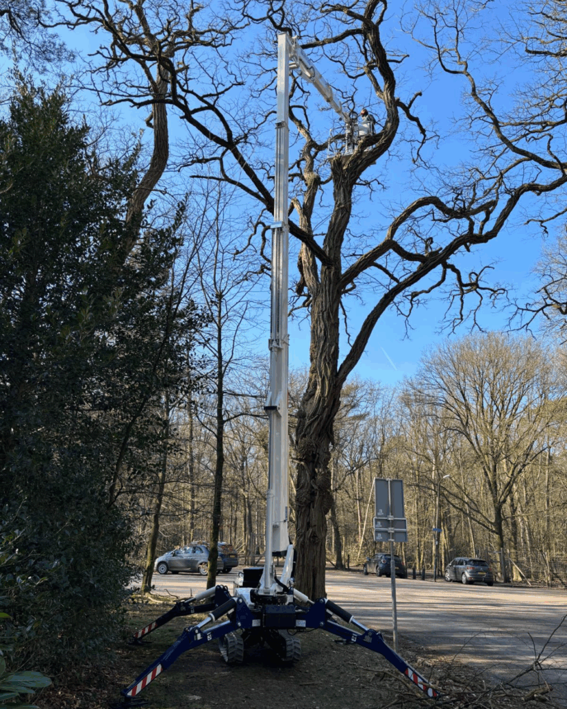 CELA hoogwerker